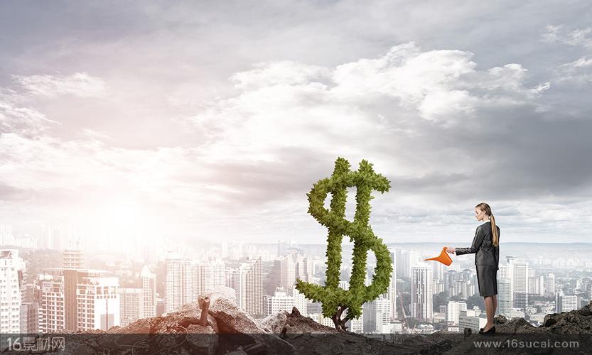 炒黄金鲍的家常做法大全窍门