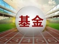 金融强国如何贡献“公募力量”？千亿公募最新发声